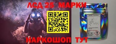 прущие грибы Моздок