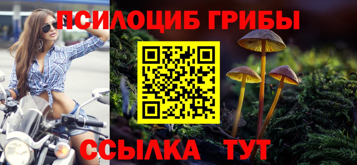 Галлюциногенные грибы мухоморы  Вход с VPN  Псилоцибиновые грибы GOLDEN TEACHER  Прохладный 